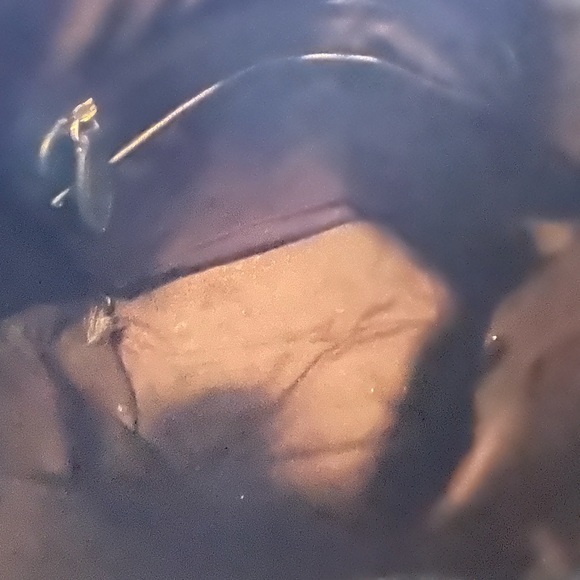 Rebecca Minkoff single strap shoulder bag, EUC - Picture 2 of 6